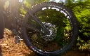 ethos-lifestyle-forbidden-core-hero.webp