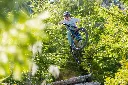 Signature-36-Skyler-Norco-Optic-12.webp