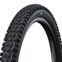 Schwalbe Albert Radial Tire