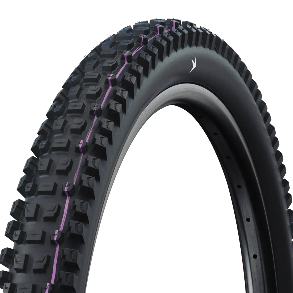 Schwalbe Albert Radial Tire